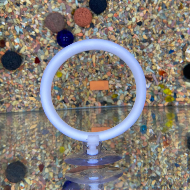 Gymnastic Ring - 1 pz Anello di Addestramento Artificiale